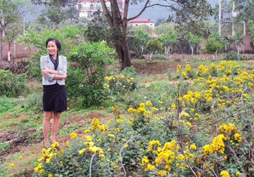 Thu Phương, Mỹ Linh thích thú trồng rau sạch tại nhà 15