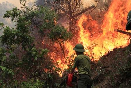 Thanh Hoá di dân khẩn cấp, trắng đêm chữa cháy rừng 6