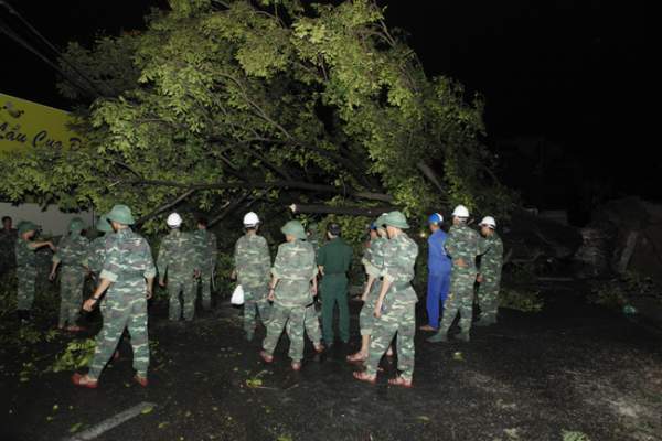 Bộ đội trắng đêm thu dọn cây đổ trong nội thành Hà Nội 12