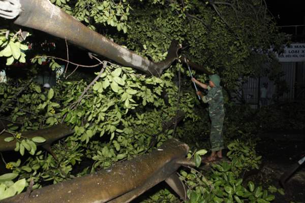 Bộ đội trắng đêm thu dọn cây đổ trong nội thành Hà Nội 15