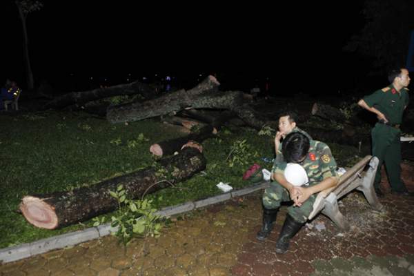Bộ đội trắng đêm thu dọn cây đổ trong nội thành Hà Nội 11