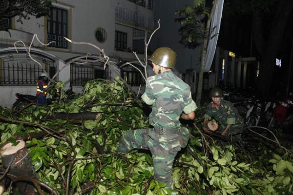 Bộ đội trắng đêm thu dọn cây đổ trong nội thành Hà Nội 8
