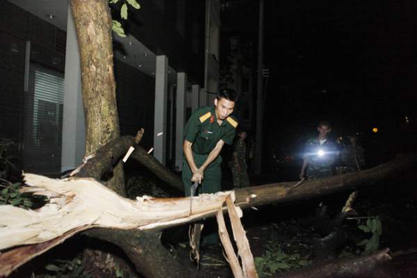 Bộ đội trắng đêm thu dọn cây đổ trong nội thành Hà Nội 4