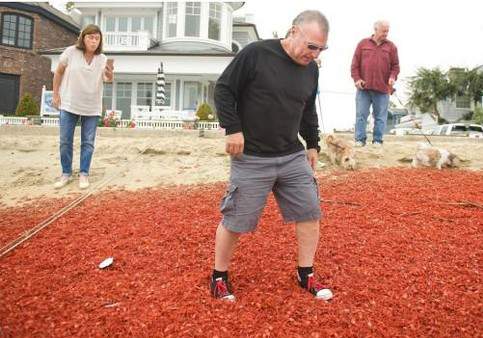 Hàng ngàn con cua nhuộm đỏ bãi biển Mỹ 2