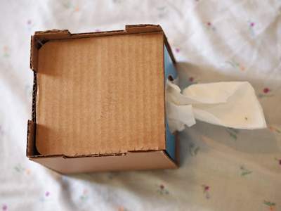 Rảnh tay làm hộp đựng giấy ăn hình chú thỏ cực xinh 3