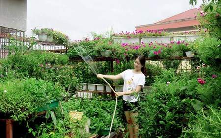 Vườn rau sạch siêu đẹp trên sân thượng để cả nhà cùng chăm 6