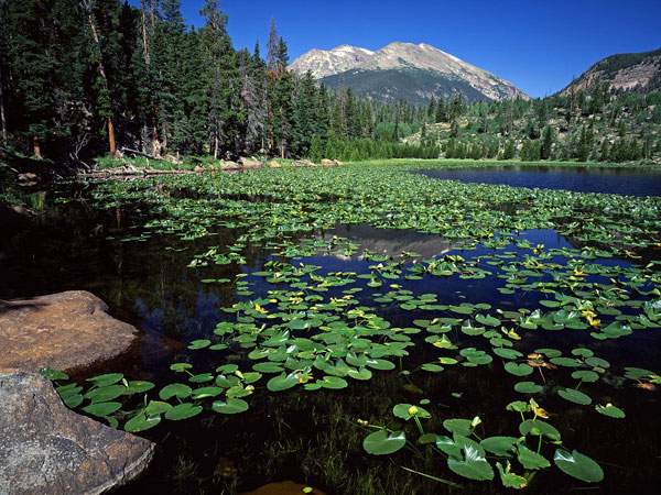 Khám phá 10 vườn quốc gia đẹp nhất ở Mỹ 7