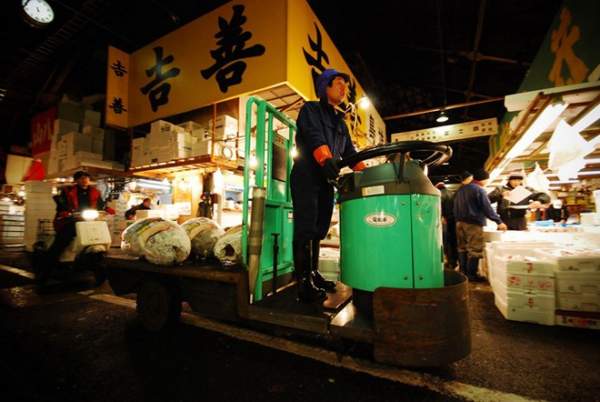 Khám phá chợ cá ngừ triệu đô ở Nhật Bản 6