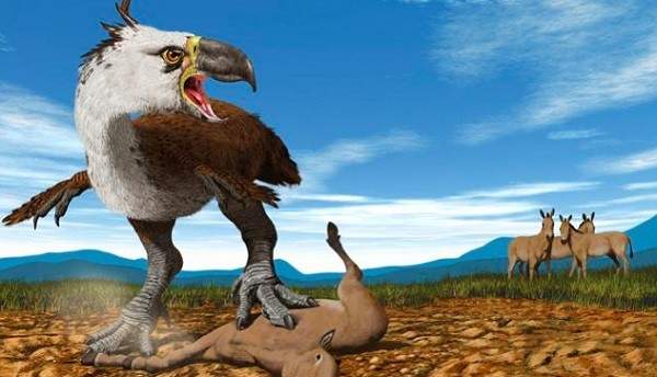 10 quái vật ăn thịt kinh hoàng nhất thời tiền sử 13