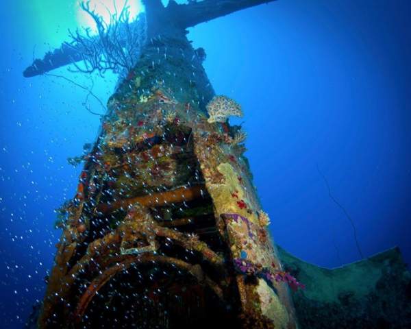 "Nghĩa địa" máy bay khổng lồ từ Thế Chiến II dưới đáy đại dương 11