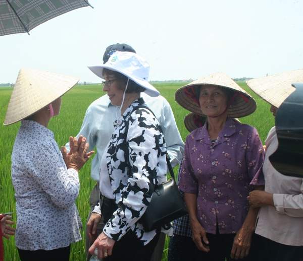 Quan chức Mỹ ra đồng trò chuyện cùng nông dân Nam Định 8