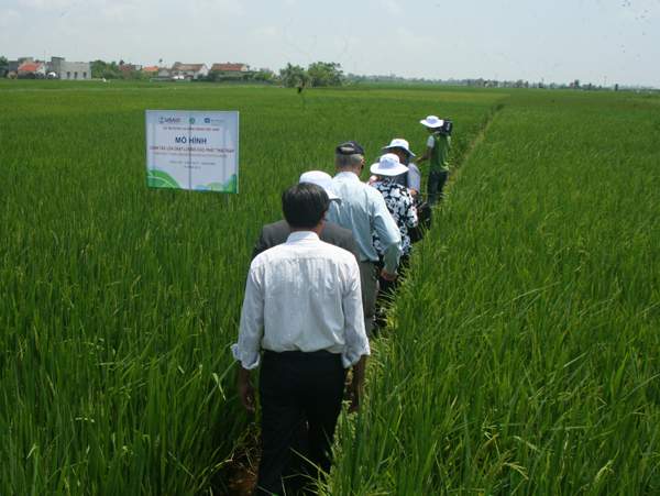 Quan chức Mỹ ra đồng trò chuyện cùng nông dân Nam Định 5