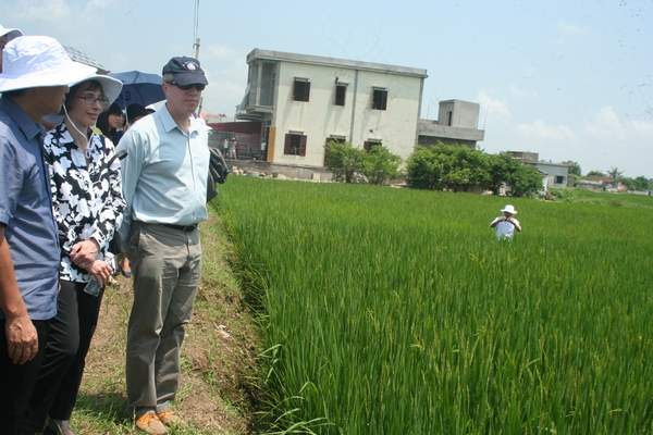 Quan chức Mỹ ra đồng trò chuyện cùng nông dân Nam Định 3