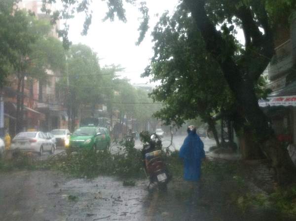 Hình ảnh Đà Nẵng "liêu xiêu" trước cơn bão số 3 4