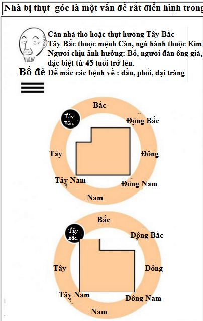 Nhà thò thụt, cả nhà mắc bệnh triền miên 12