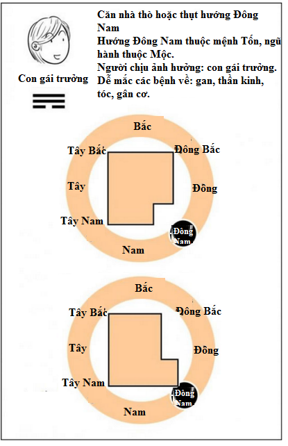 Nhà thò thụt, cả nhà mắc bệnh triền miên 21