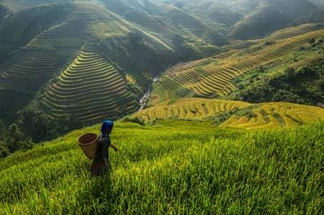 Hình ảnh Việt Nam tươi đẹp tại giải ảnh quốc tế 29