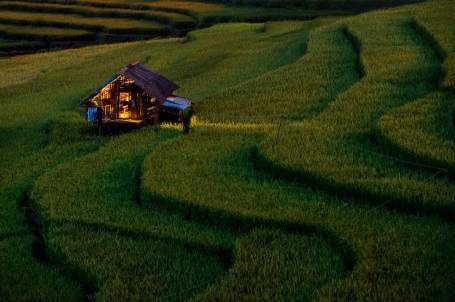 Hình ảnh Việt Nam tươi đẹp tại giải ảnh quốc tế 17
