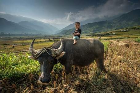 Hình ảnh Việt Nam tươi đẹp tại giải ảnh quốc tế 40