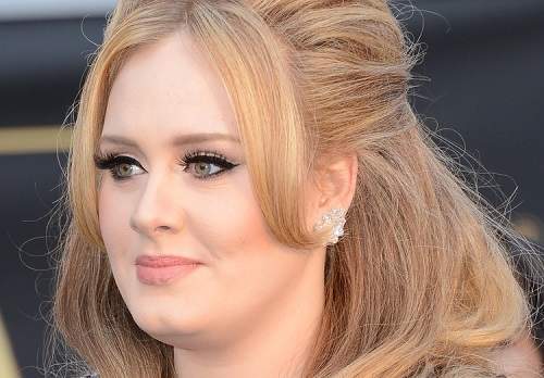 Bí quyết trang điểm cho gương mặt thon gọn của nàng béo Adele 3