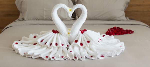Cách xếp chim thiên nga bằng khăn tắm tô điểm cho giường cưới 30