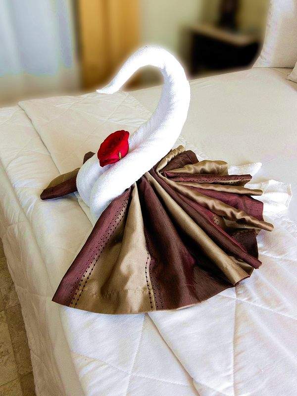 Cách xếp chim thiên nga bằng khăn tắm tô điểm cho giường cưới 36