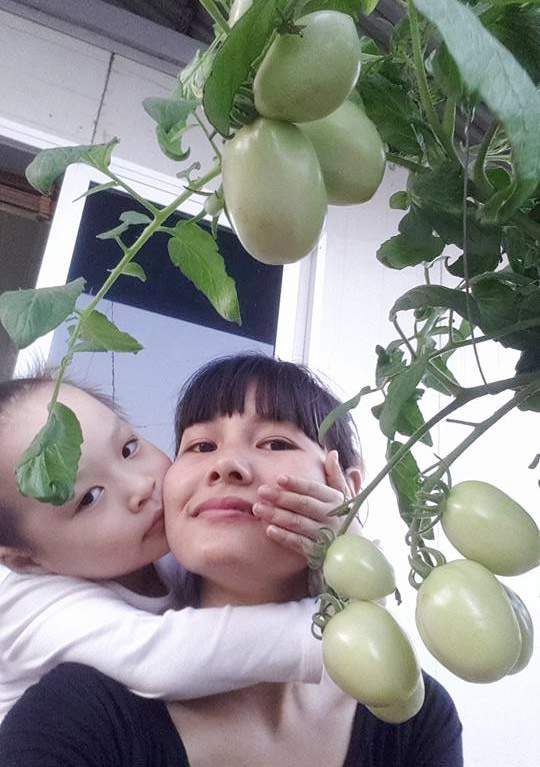 Học mẹ trẻ Hà Nội luyện bí kíp trồng cà chua trĩu cây 3