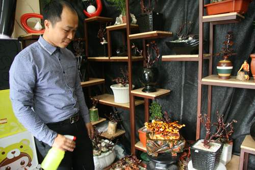 Dân tình lùng sục mua nấm linh chi bonsai tiền triệu 12