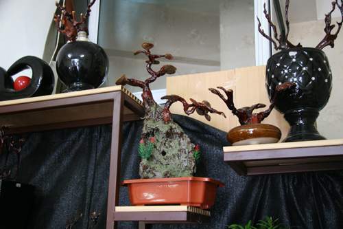 Dân tình lùng sục mua nấm linh chi bonsai tiền triệu 18