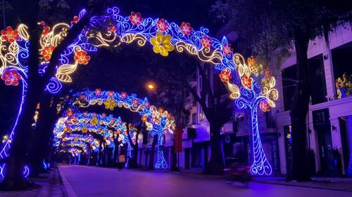 Mãn nhãn đèn hoa trang trí Tết dọc con phố Phan Đình Phùng 3