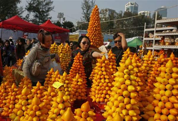 Cây "Ngũ đại đồng đường" nhuộm vàng ban thờ ngày Tết 18