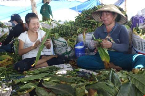 Nhộn nhịp xóm thuốc lào Sài Gòn 13