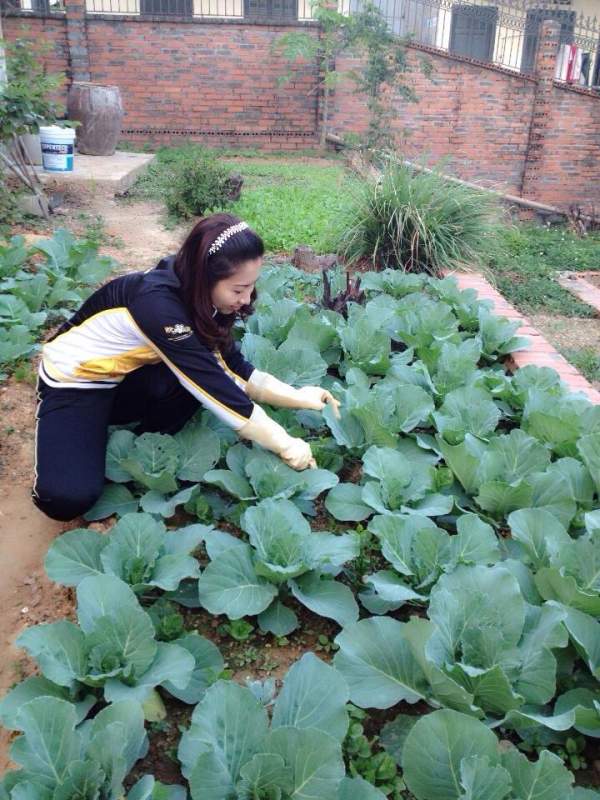 Nữ doanh nhân trồng hoa 300 giò, trồng rau ăn không hết 12