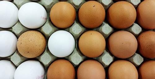 Trứng: Món ăn giảm cân "thần thánh" bạn đã biết chưa? 9