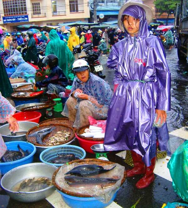 Phú Yên: Chợ chạy lũ, giá cả tăng nhưng không có hàng để bán 3