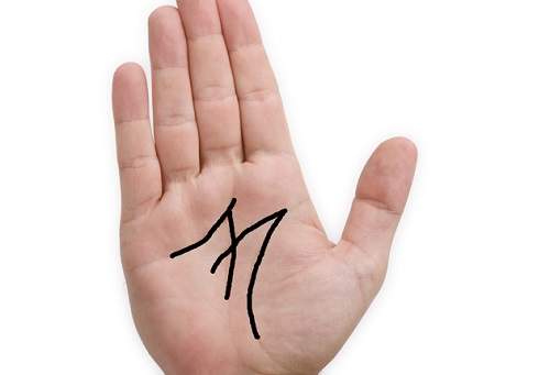 Tự xem số phận mình qua bàn tay chính mình: Chữ M trong lòng bàn tay nói gì về số phận? 3