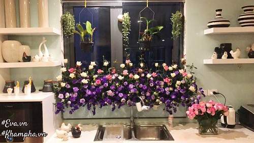 "Vườn hồng" đẹp mê hồn trên cửa sổ nhà bếp của mẹ Hà Thành 20 năm đi chợ "săn" hoa 18