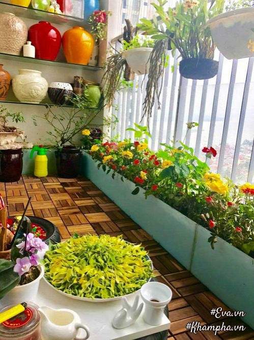 "Vườn hồng" đẹp mê hồn trên cửa sổ nhà bếp của mẹ Hà Thành 20 năm đi chợ "săn" hoa 36