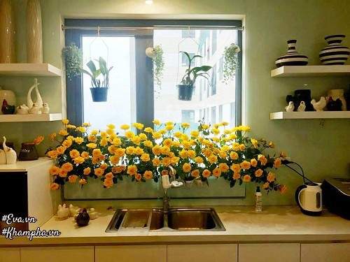 "Vườn hồng" đẹp mê hồn trên cửa sổ nhà bếp của mẹ Hà Thành 20 năm đi chợ "săn" hoa 9