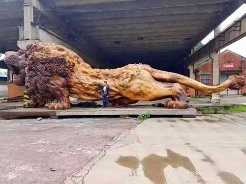 Sự thật ngỡ ngàng đằng sau bức tượng sư tử gỗ khổng lồ đang "nổi như cồn" trên MXH 12