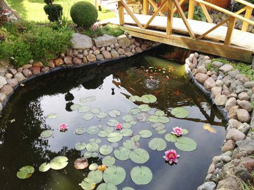 Ở trời châu Âu, vườn của mẹ Việt đẹp mê mẩn như thiên đường 39