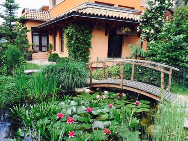 Ở trời châu Âu, vườn của mẹ Việt đẹp mê mẩn như thiên đường 6