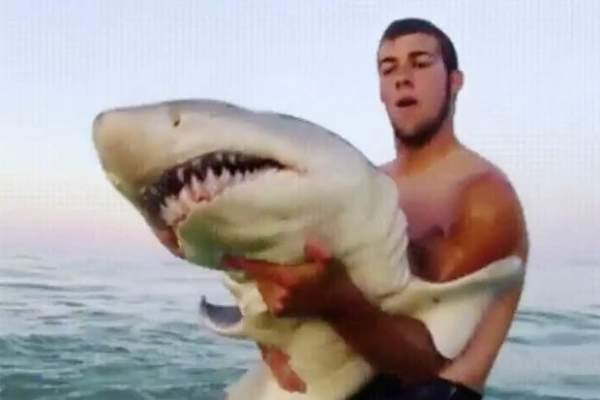 Video: Người đàn ông bạo gan bế thốc cá mập khủng trên biển 2