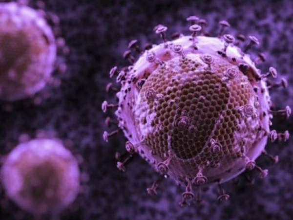 Tìm ra loại thuốc khiến con người bớt sợ HIV 2