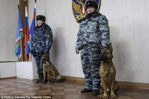 Chó 2,3 tỉ đồng làm "cai ngục" ở nhà tù cẩn mật nhất Nga 4
