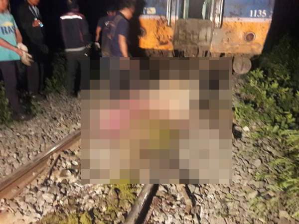 Tàu hỏa đâm một lúc chết 21 con trâu ở Thái Lan 2