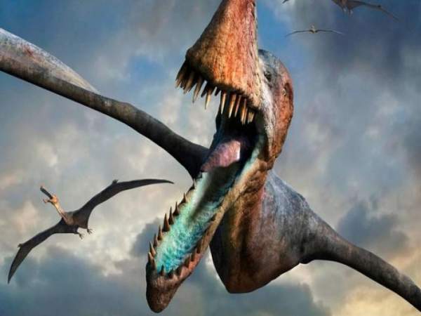 Phát hiện xác sinh vật thời nay giống khủng long 65 triệu năm trước 3