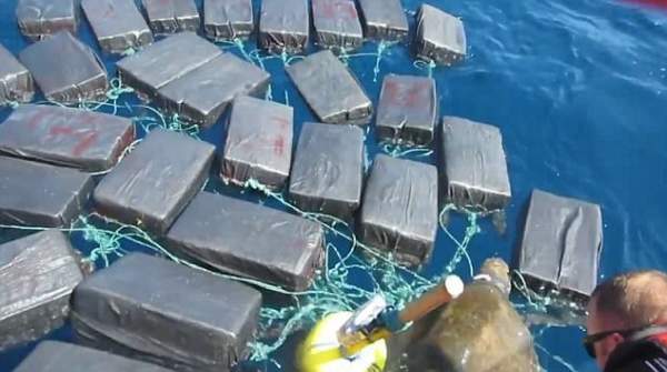 Bắt quả tang rùa biển vận chuyển gói hàng cấm trị giá nghìn tỉ đồng 2