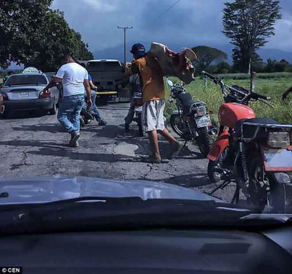 Venezuela: Người dân ném chết gia súc để lấy cái ăn 3