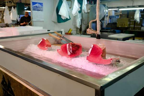 Bên trong chợ cá tươi ngon nhất thế giới, bán lên tới triệu USD/con 4